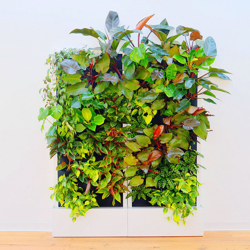 Florafelt Recirc 33-Pocket Wall Mounted — Florafelt Living Wall